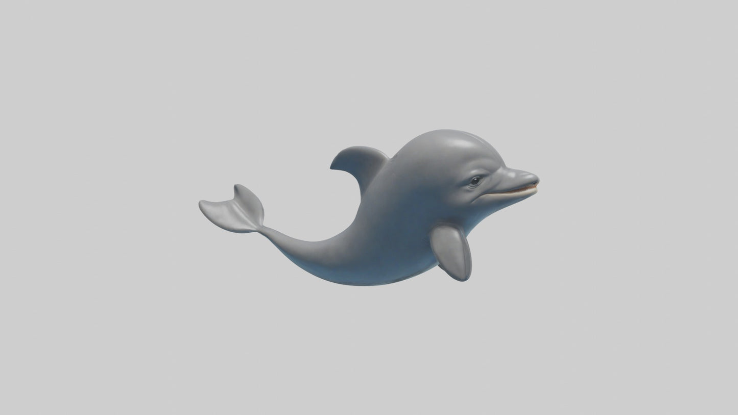 3D model Babydolphin Model 1 VR / AR / low-poly