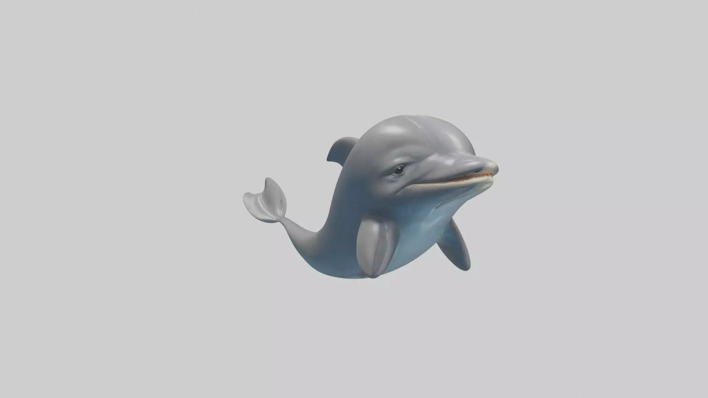 3D model Babydolphin Model 1 VR / AR / low-poly