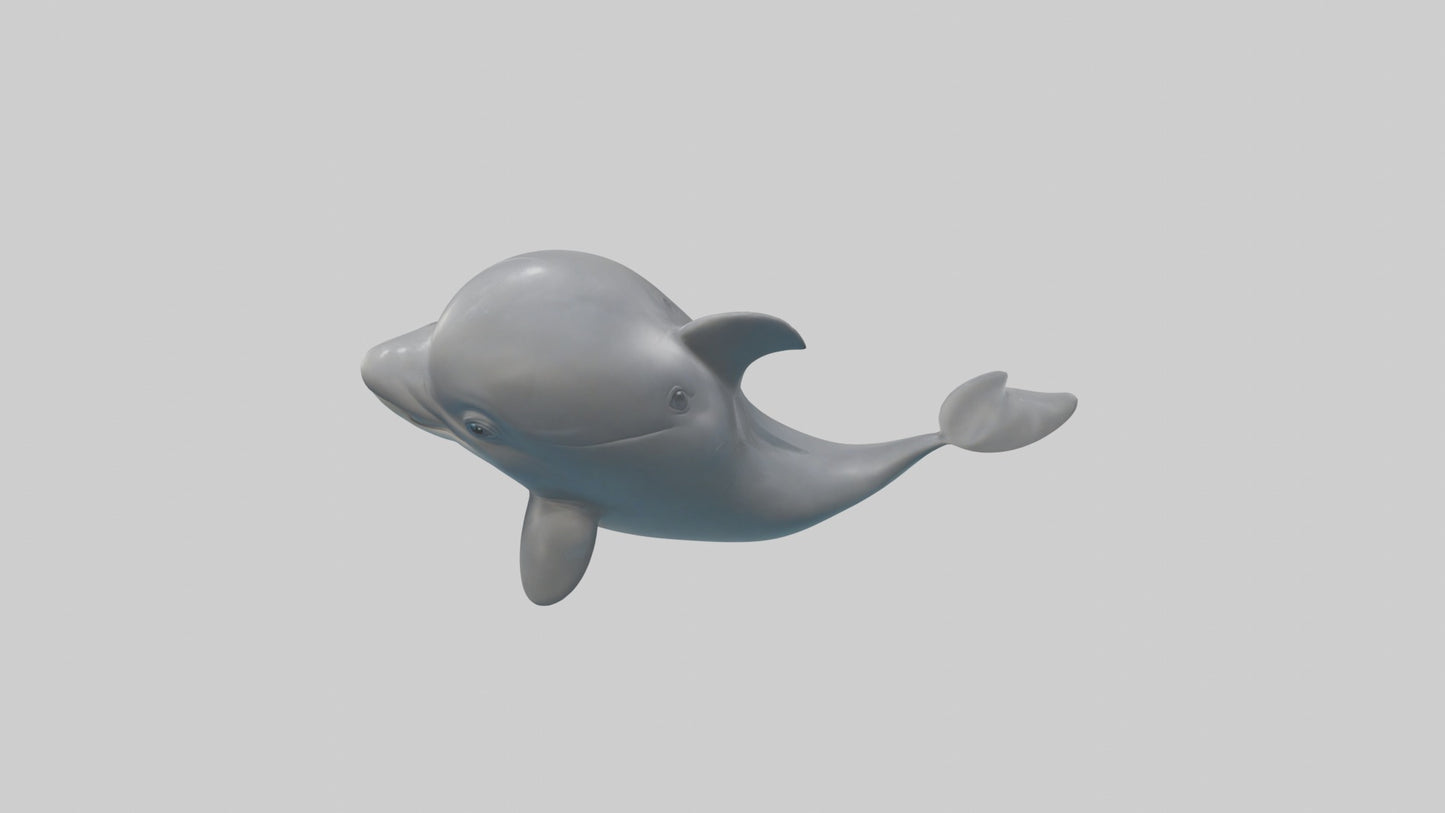 3D model Babydolphin Model 1 VR / AR / low-poly