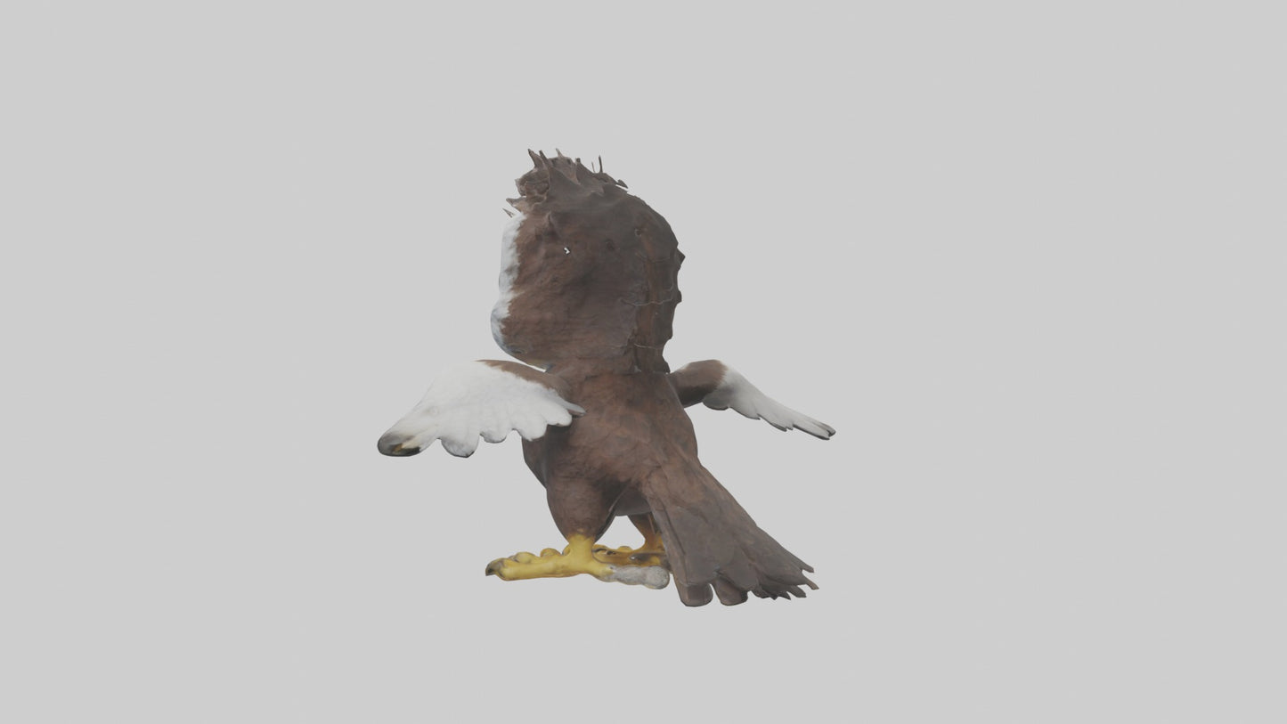 3D model Babyeagle Model 1 VR / AR / low-poly