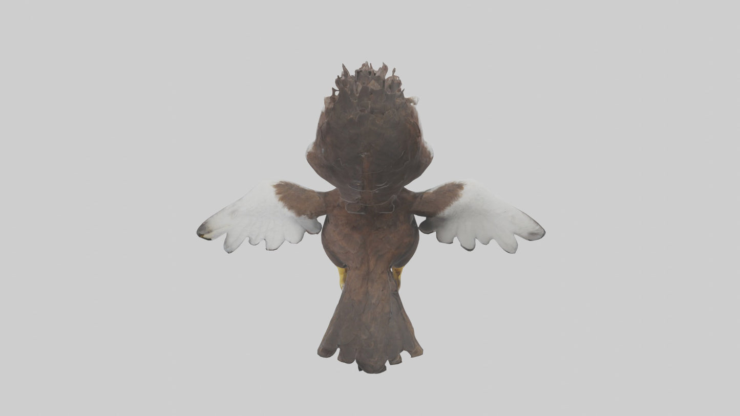 3D model Babyeagle Model 1 VR / AR / low-poly