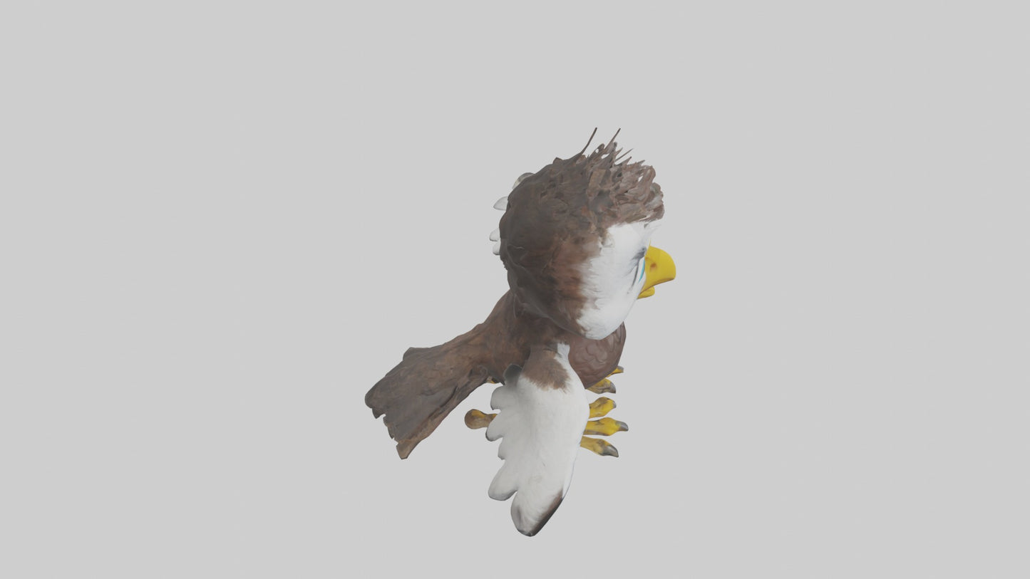 3D model Babyeagle Model 1 VR / AR / low-poly