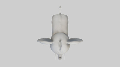 3D model Babyelephant Model 1 VR / AR / low-poly