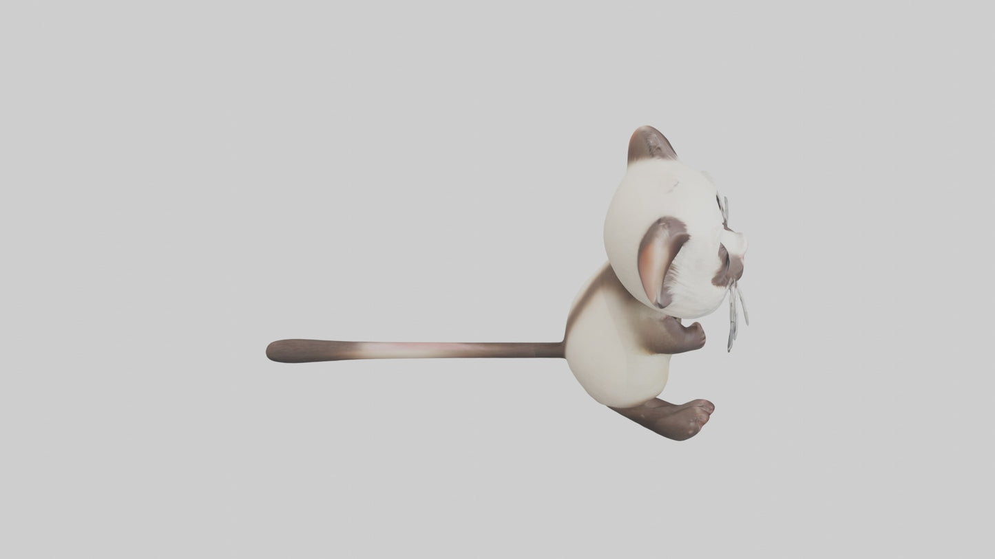 3D model Babyferret Model 1 VR / AR / low-poly