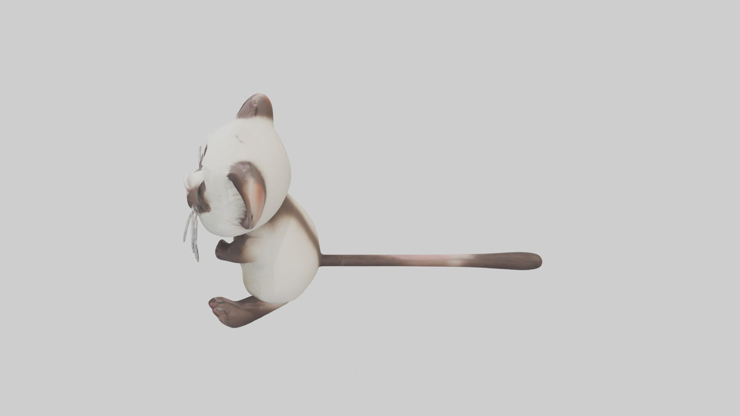 3D model Babyferret Model 1 VR / AR / low-poly