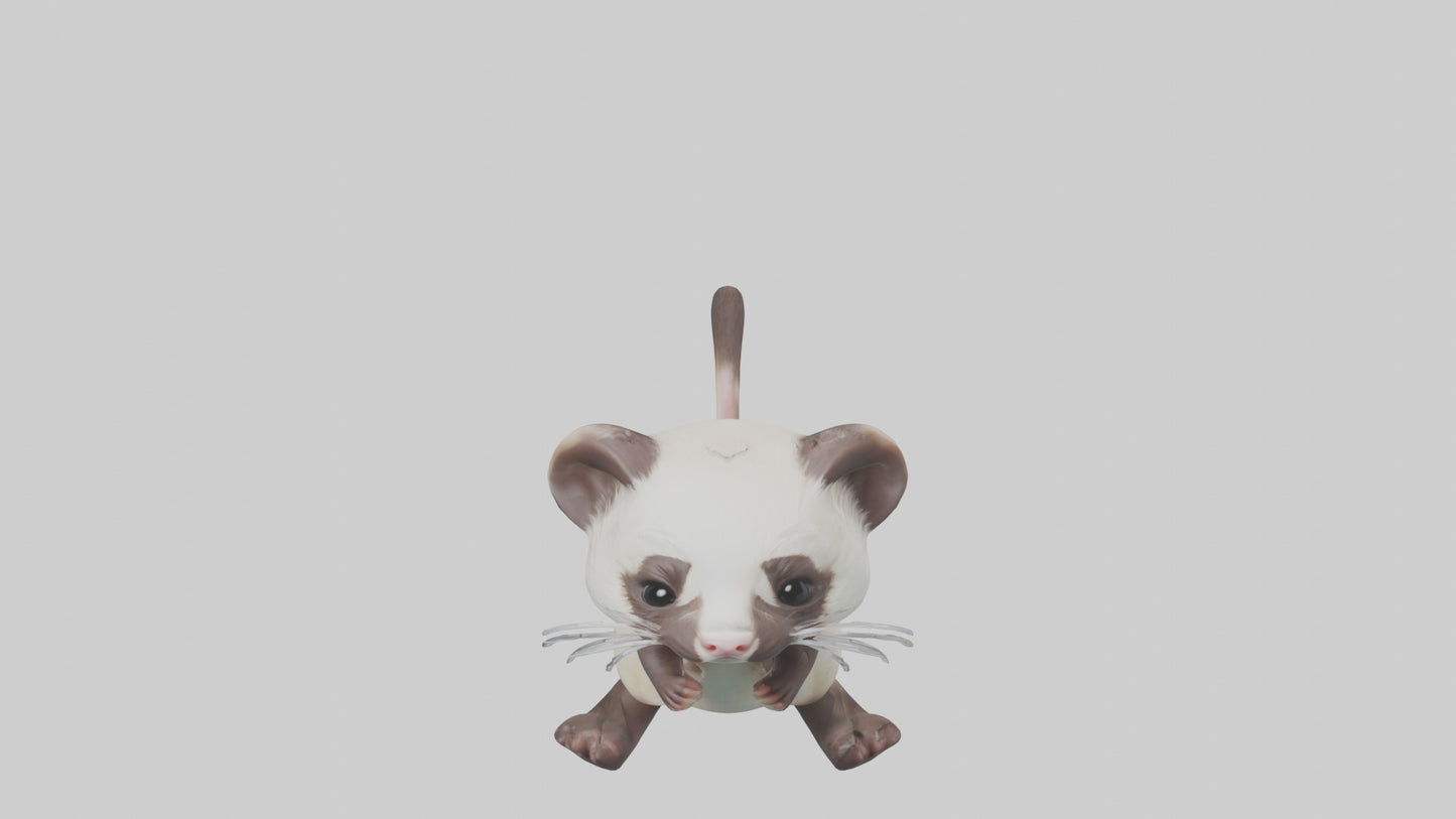 3D model Babyferret Model 1 VR / AR / low-poly