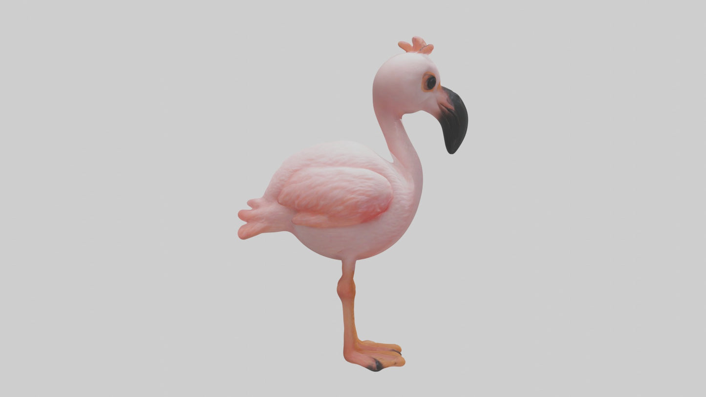 3D model Babyflamingo Model 1 VR / AR / low-poly
