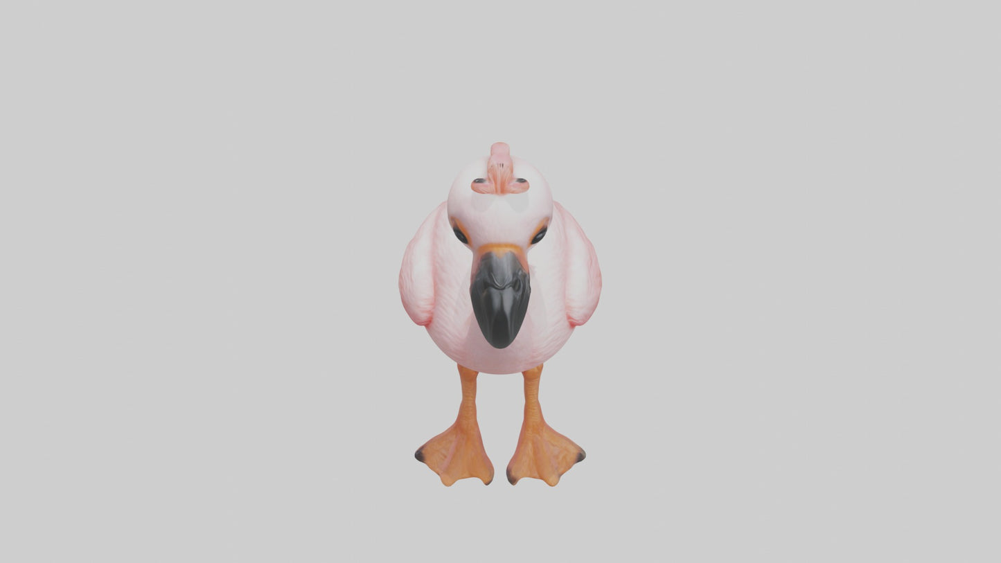 3D model Babyflamingo Model 1 VR / AR / low-poly