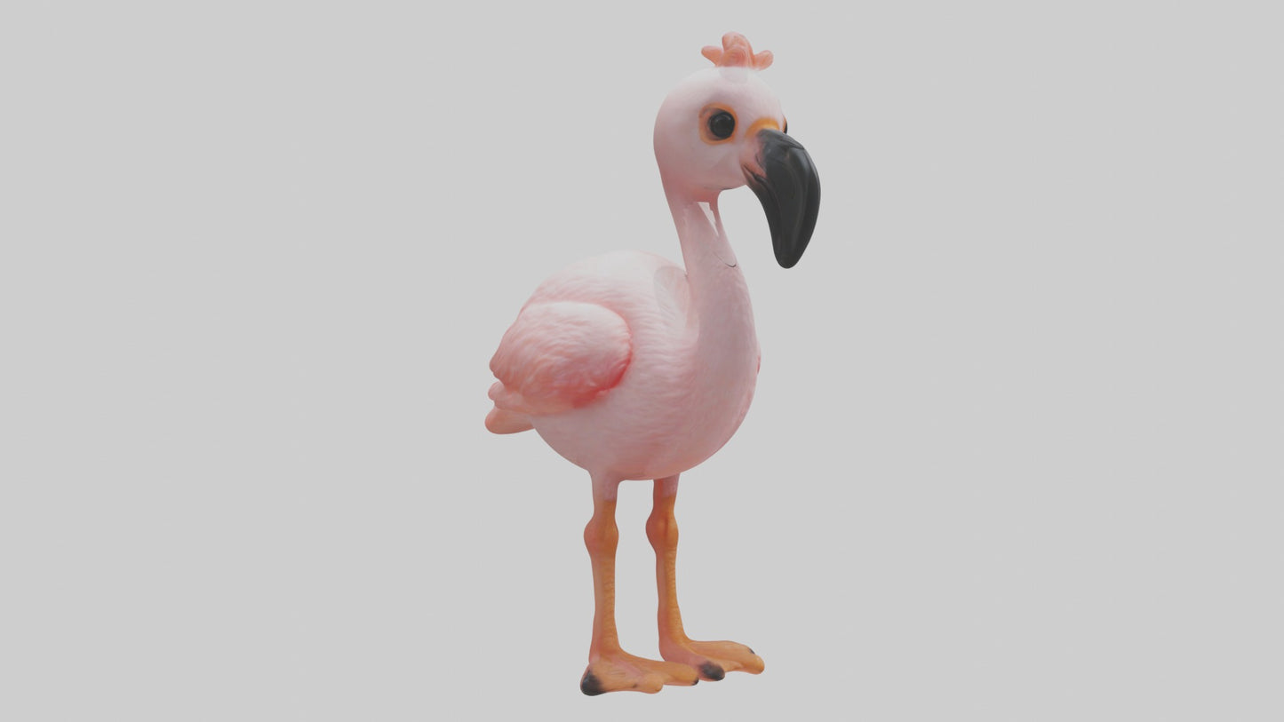 3D model Babyflamingo Model 1 VR / AR / low-poly