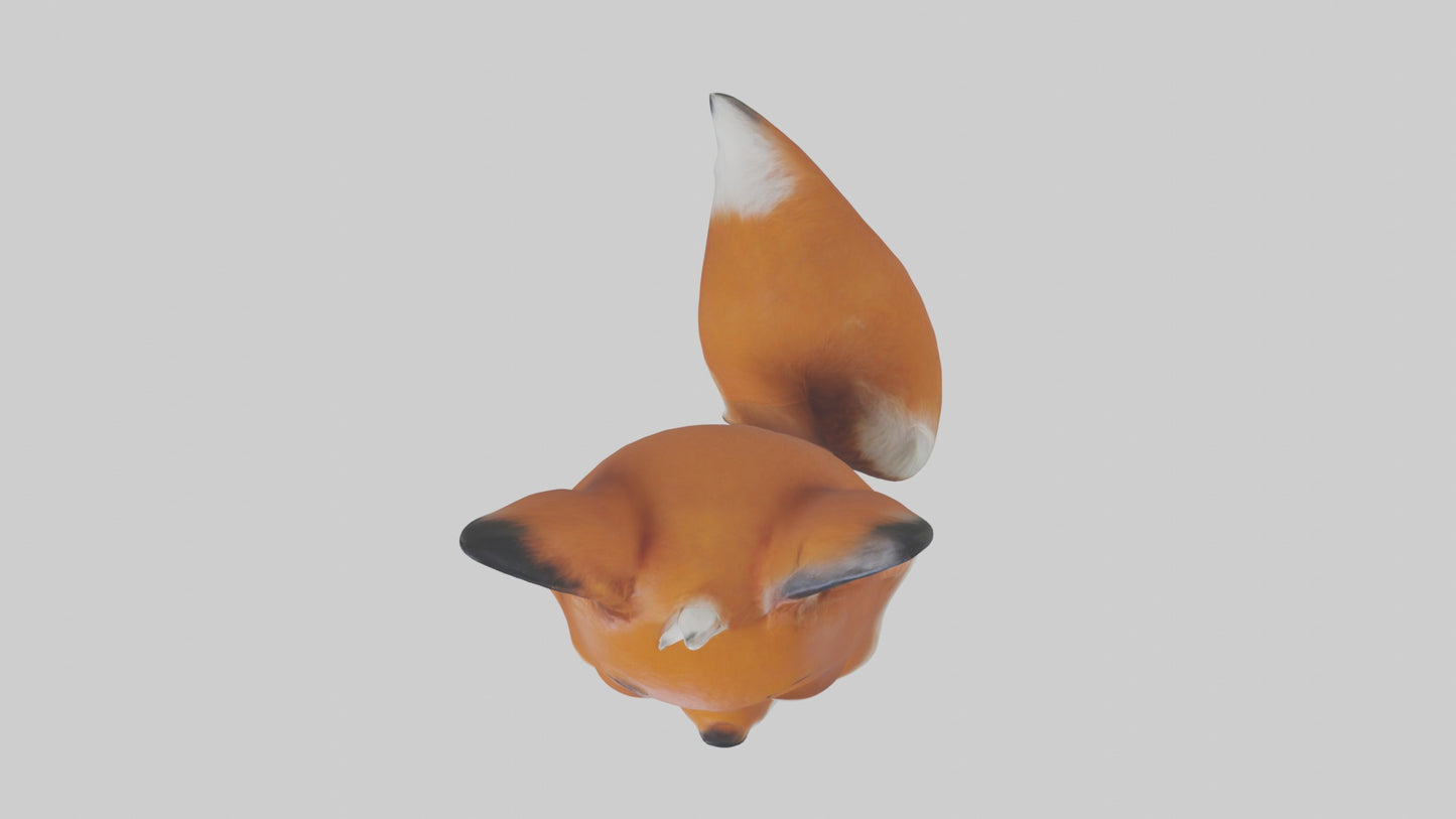 3D model Babyfox Model 1 VR / AR / low-poly