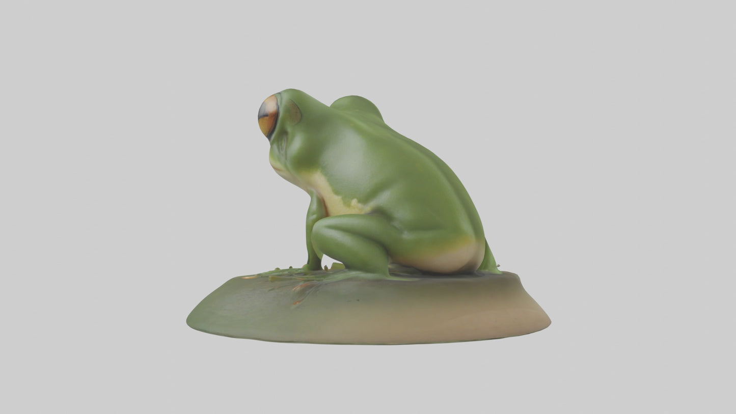 3D model Babyfrog Model 1 VR / AR / low-poly