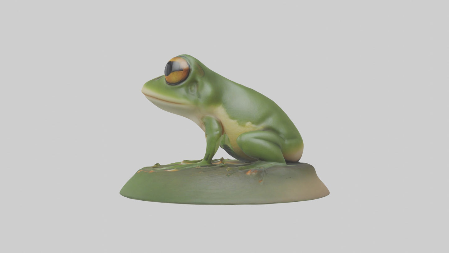 3D model Babyfrog Model 1 VR / AR / low-poly