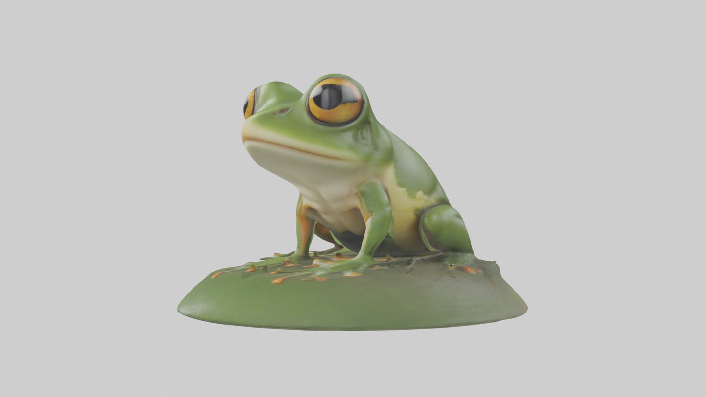 3D model Babyfrog Model 1 VR / AR / low-poly