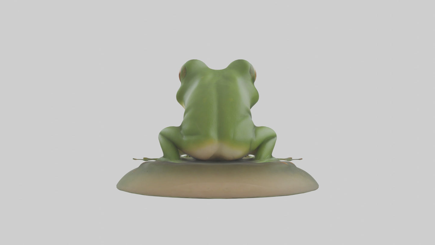 3D model Babyfrog Model 1 VR / AR / low-poly