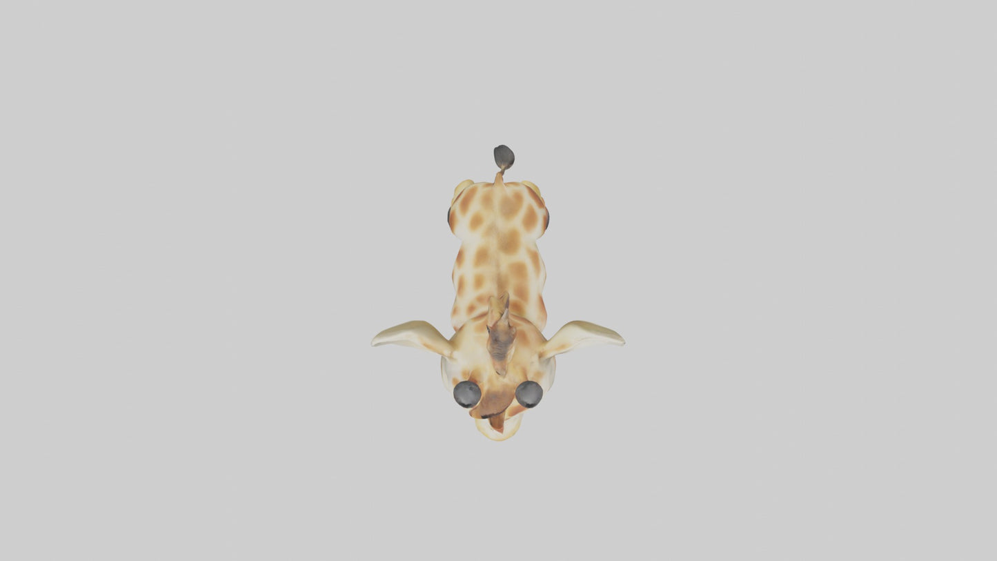 3D model Babygiraffe Model 1 VR / AR / low-poly