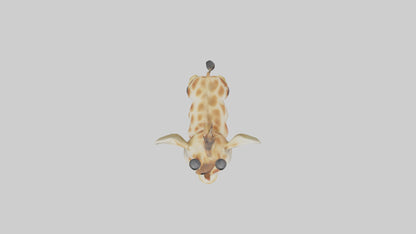 3D model Babygiraffe Model 1 VR / AR / low-poly