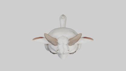3D model Babygoat Model 1 VR / AR / low-poly