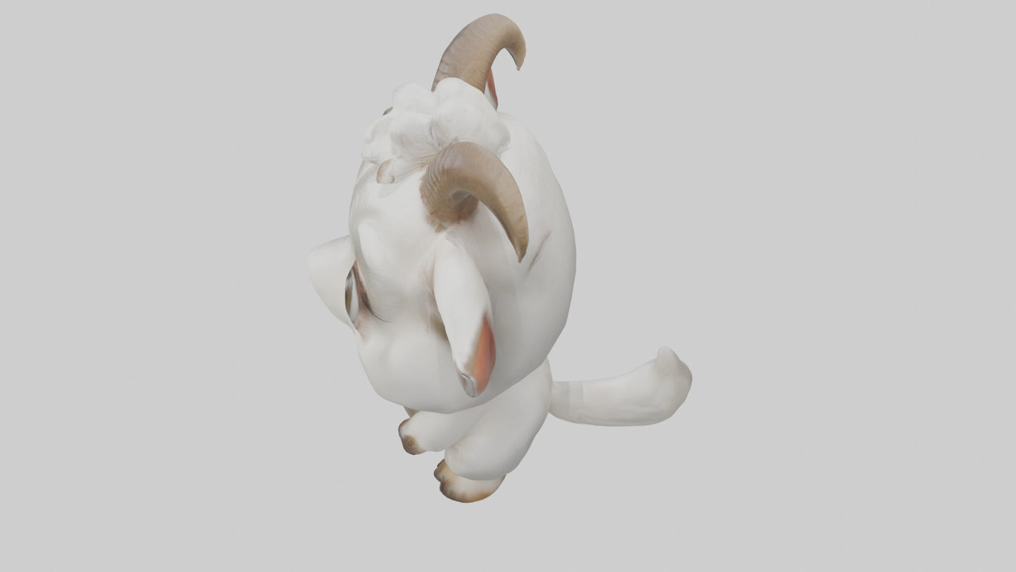 3D model Babygoat Model 1 VR / AR / low-poly