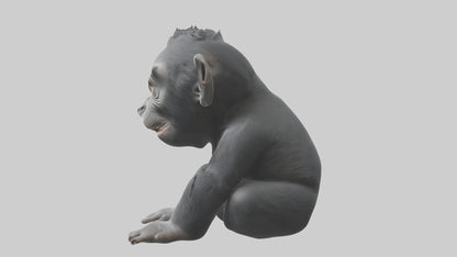 3D model Babygorilla Model 1 VR / AR / low-poly
