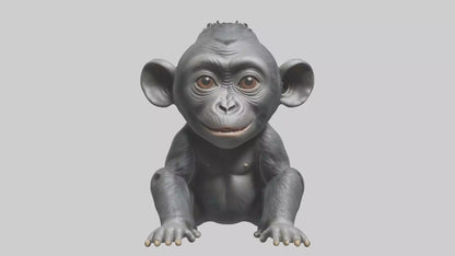3D model Babygorilla Model 1 VR / AR / low-poly