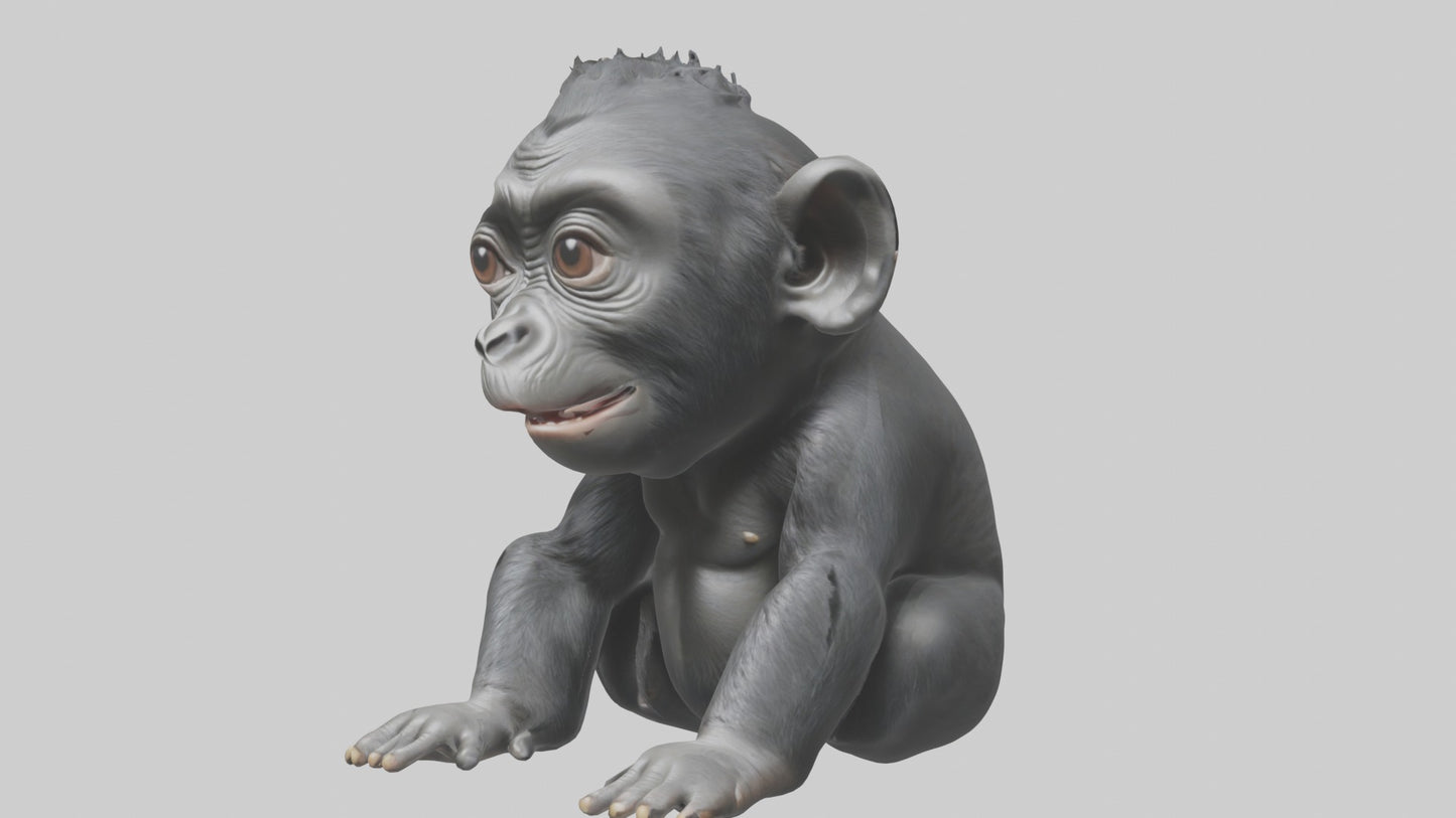 3D model Babygorilla Model 1 VR / AR / low-poly