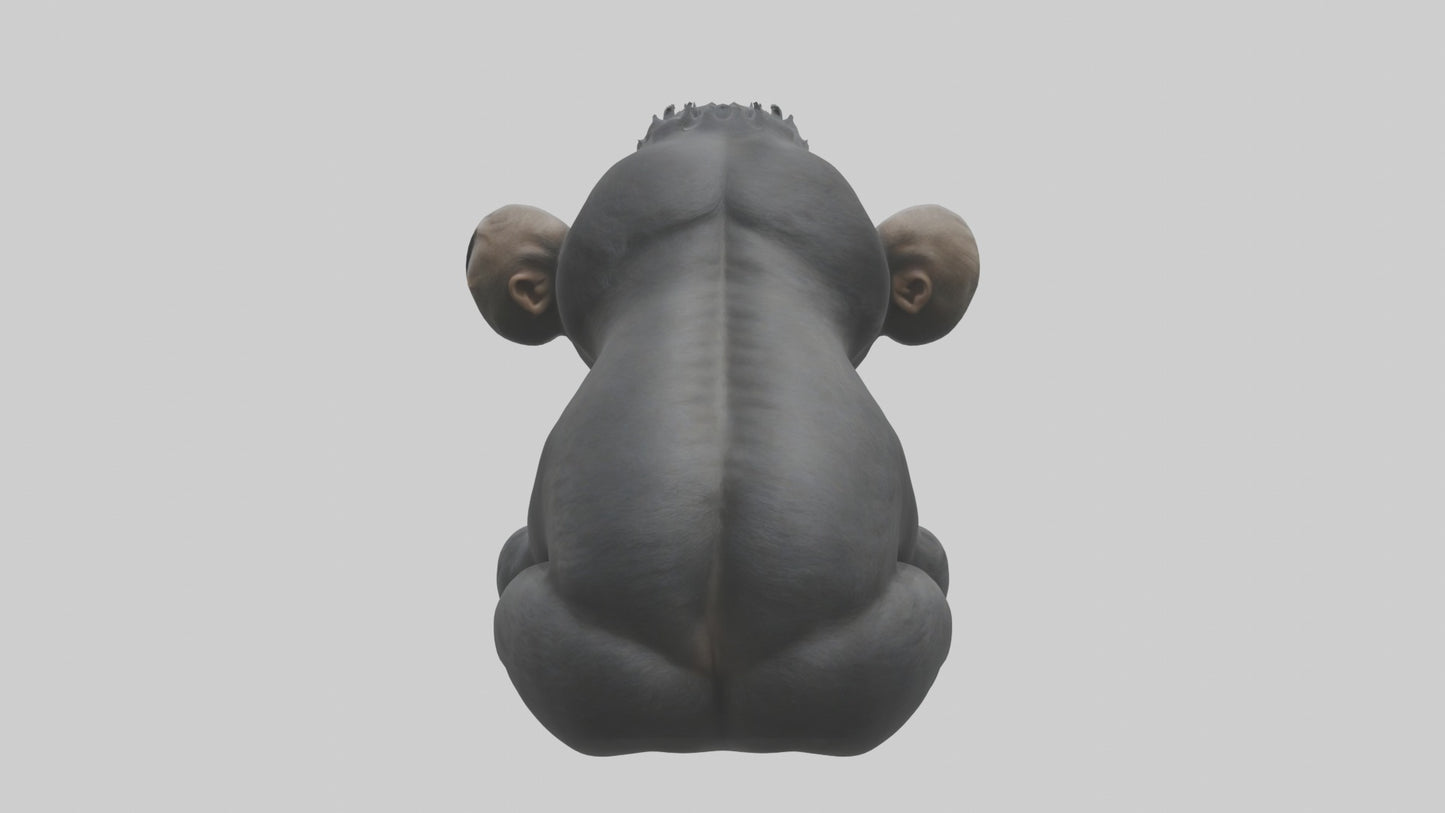 3D model Babygorilla Model 1 VR / AR / low-poly