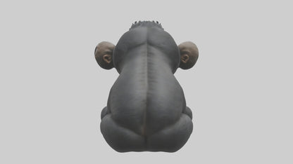 3D model Babygorilla Model 1 VR / AR / low-poly
