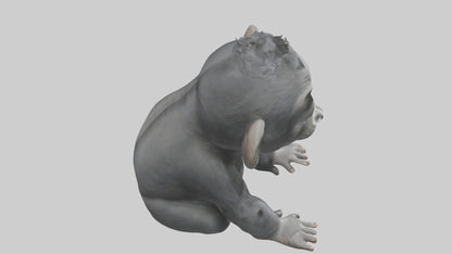 3D model Babygorilla Model 1 VR / AR / low-poly