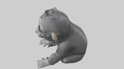 3D model Babygorilla Model 1 VR / AR / low-poly