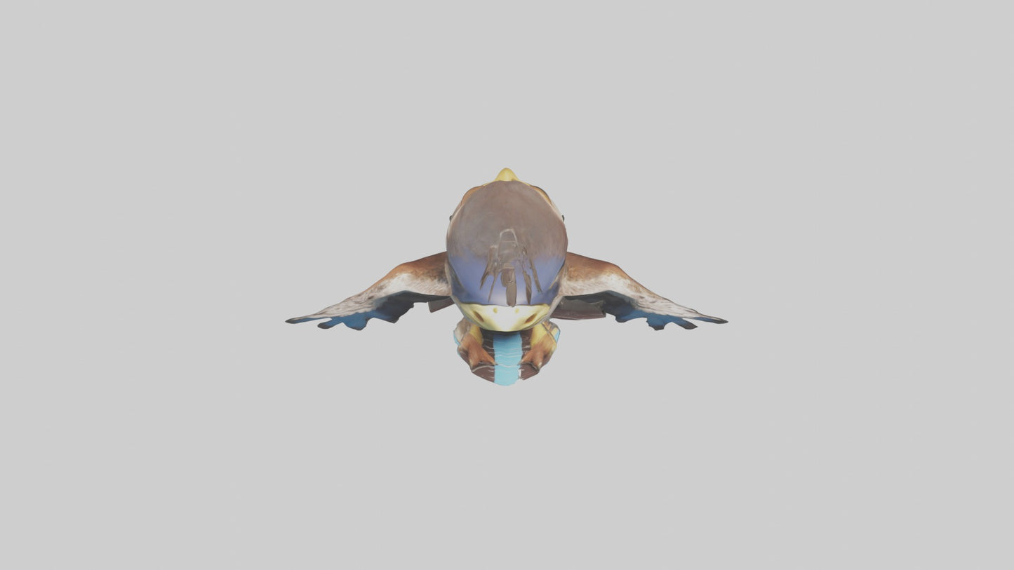3D model Babyhawk Model 1 VR / AR / low-poly