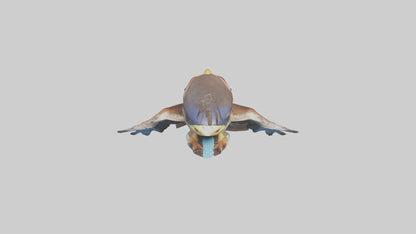3D model Babyhawk Model 1 VR / AR / low-poly