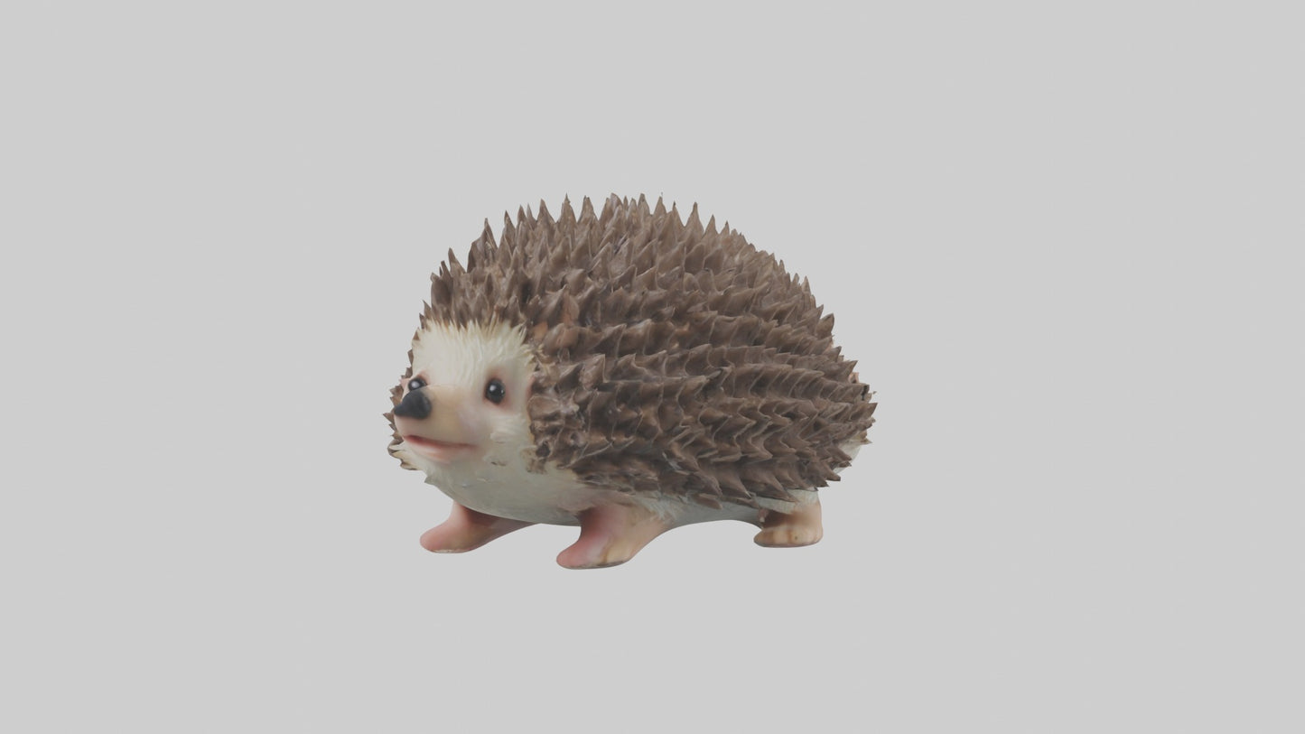 3D model Babyhedgehog Model 1 VR / AR / low-poly