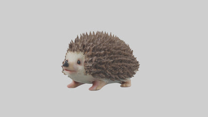 3D model Babyhedgehog Model 1 VR / AR / low-poly