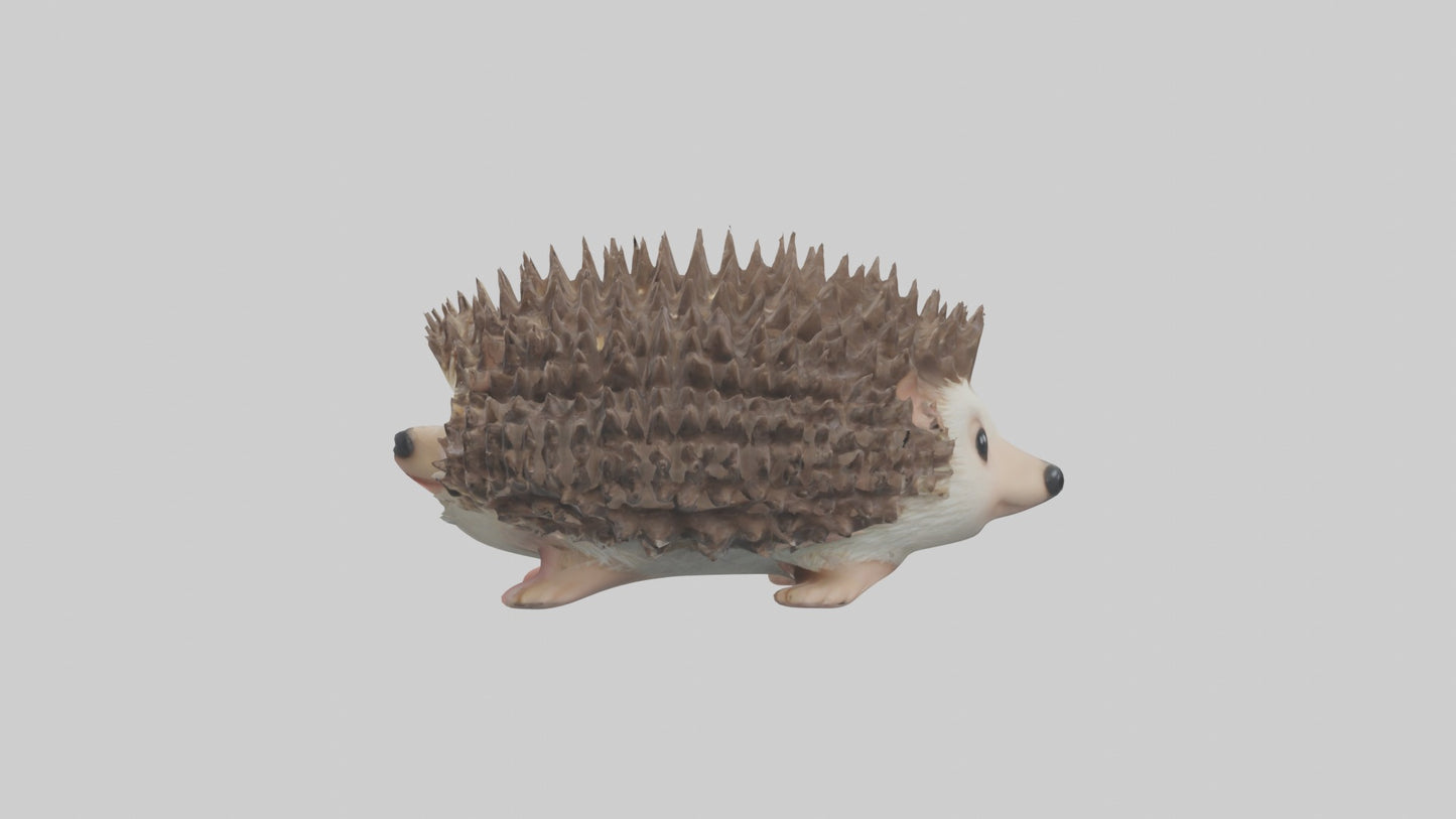 3D model Babyhedgehog Model 1 VR / AR / low-poly