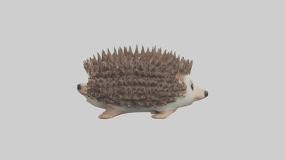 3D model Babyhedgehog Model 1 VR / AR / low-poly
