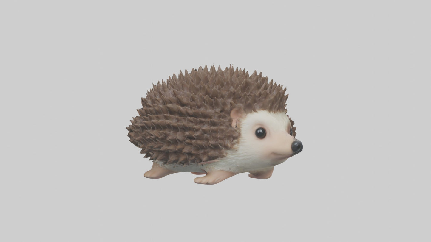 3D model Babyhedgehog Model 1 VR / AR / low-poly