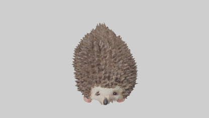 3D model Babyhedgehog Model 1 VR / AR / low-poly