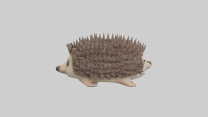 3D model Babyhedgehog Model 1 VR / AR / low-poly