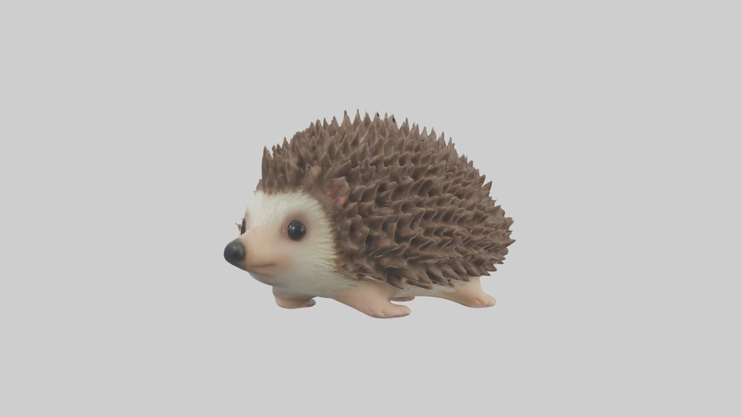 3D model Babyhedgehog Model 1 VR / AR / low-poly