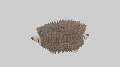 3D model Babyhedgehog Model 1 VR / AR / low-poly