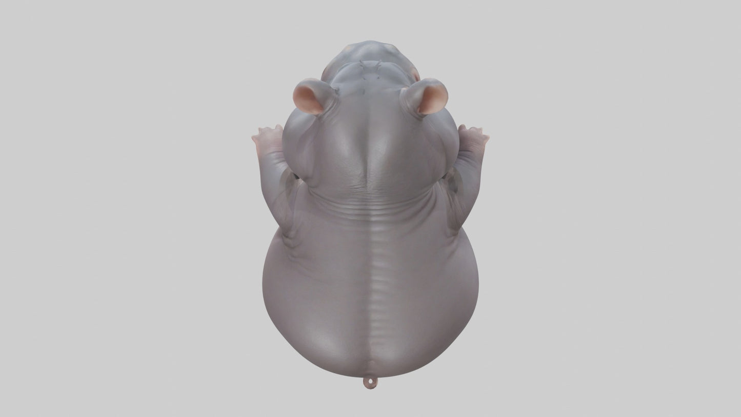 3D model Babyhippo Model 1 VR / AR / low-poly
