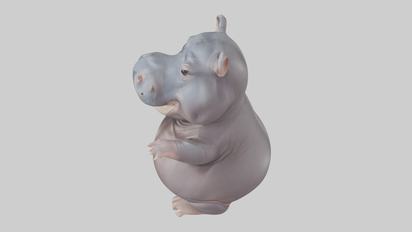 3D model Babyhippo Model 1 VR / AR / low-poly
