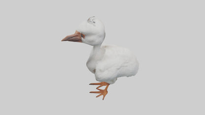 3D model Babyibis Model 1 VR / AR / low-poly