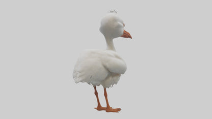 3D model Babyibis Model 1 VR / AR / low-poly