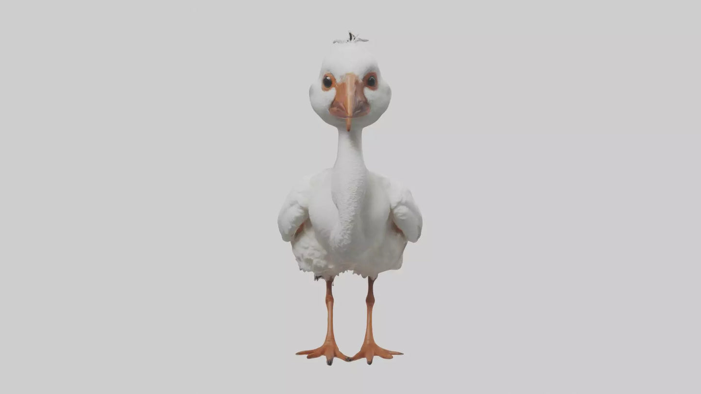 3D model Babyibis Model 1 VR / AR / low-poly