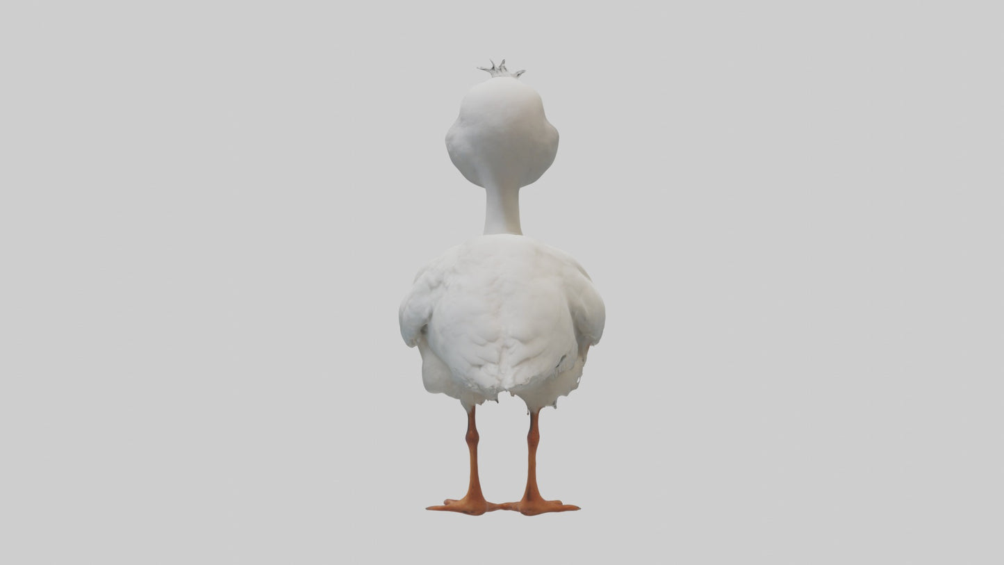 3D model Babyibis Model 1 VR / AR / low-poly