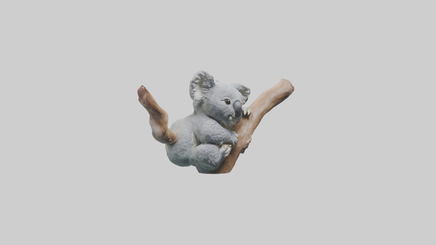 3D model Babykoala Model 1 VR / AR / low-poly