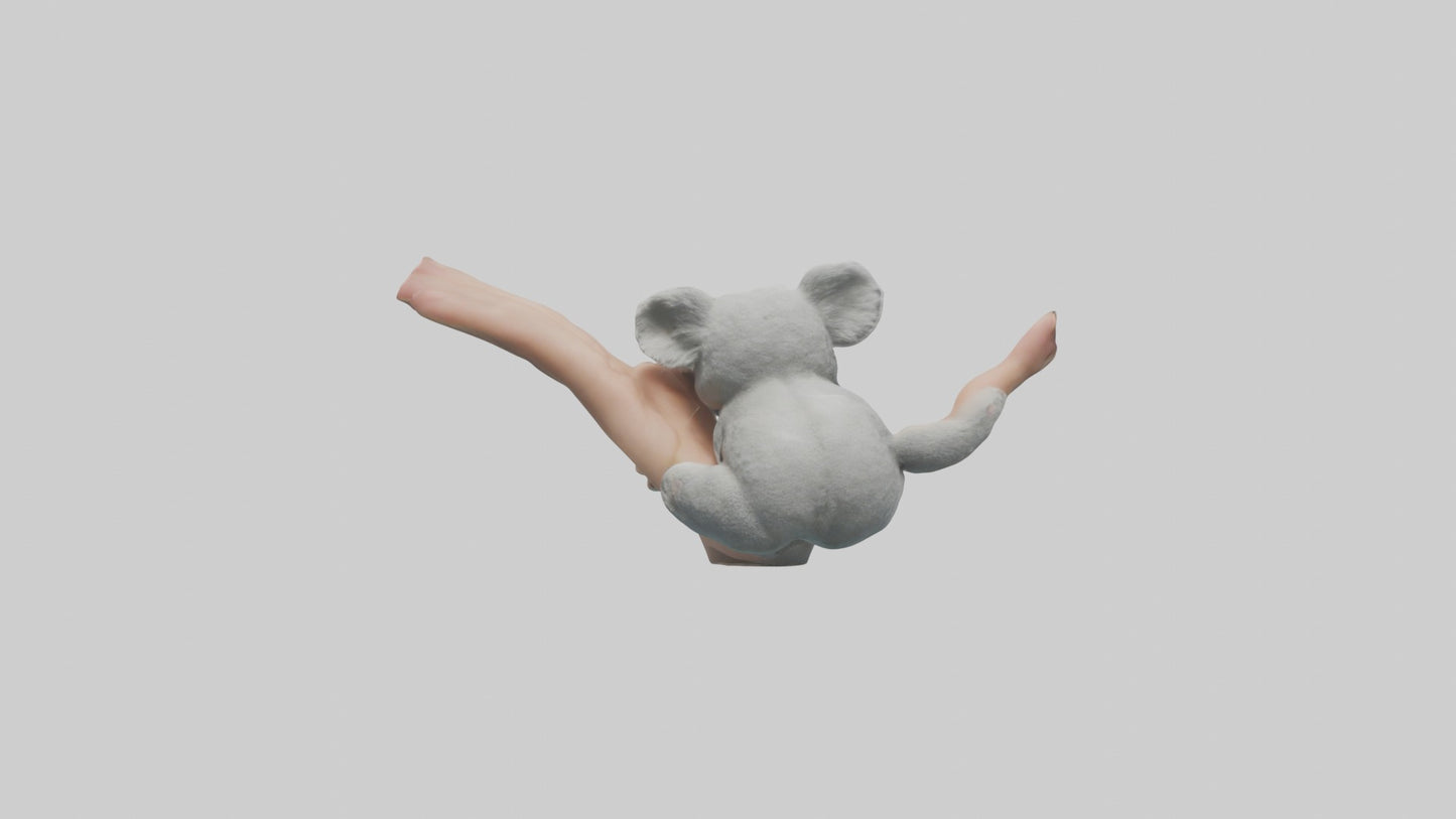 3D model Babykoala Model 1 VR / AR / low-poly