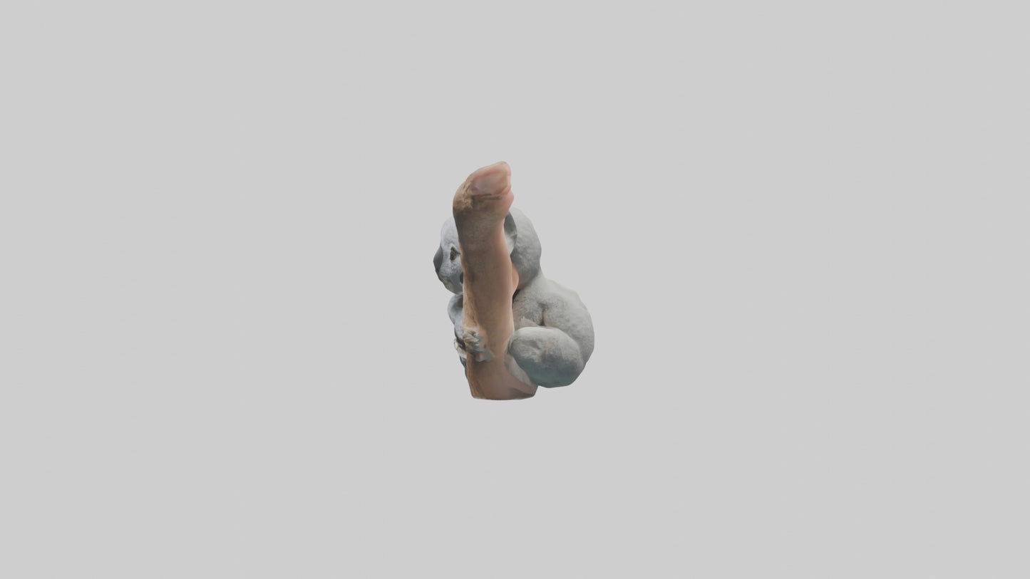 3D model Babykoala Model 1 VR / AR / low-poly