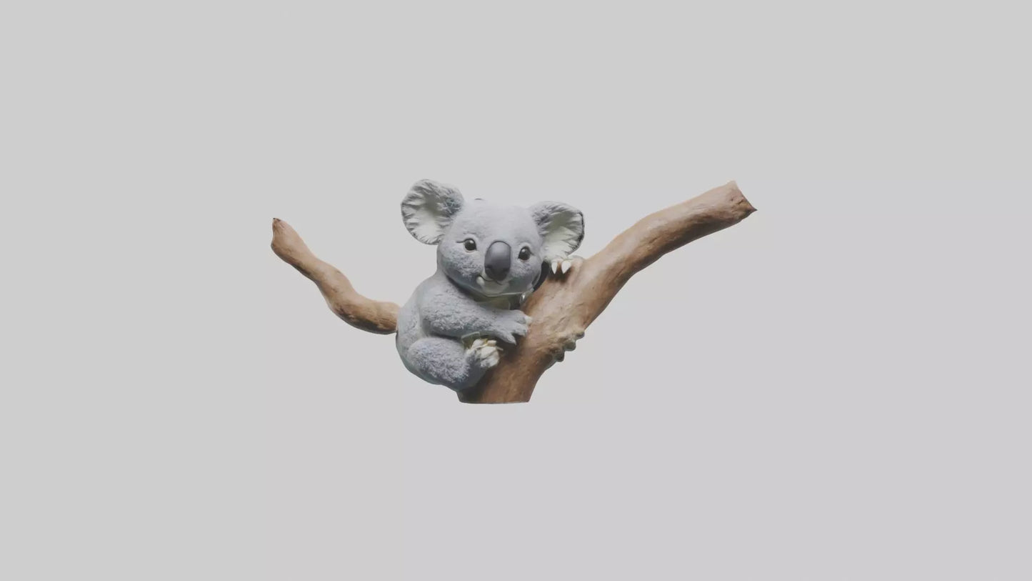 3D model Babykoala Model 1 VR / AR / low-poly